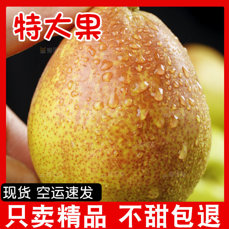 手拿新疆库尔勒新鲜香梨