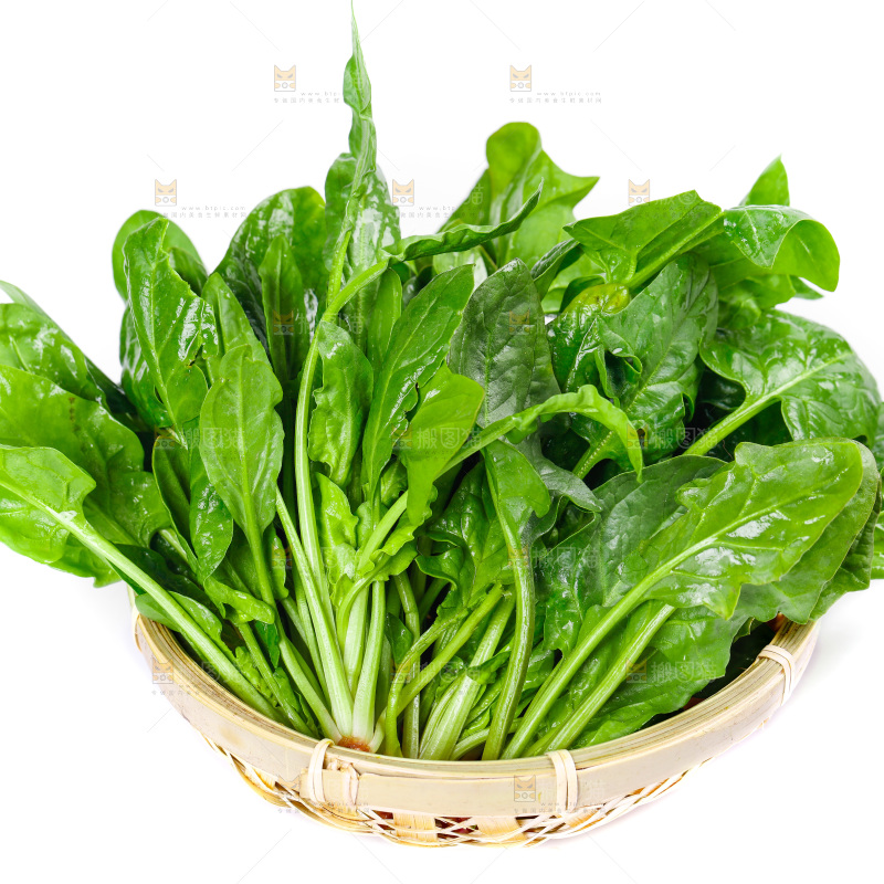 篮子里放着农家菠菜