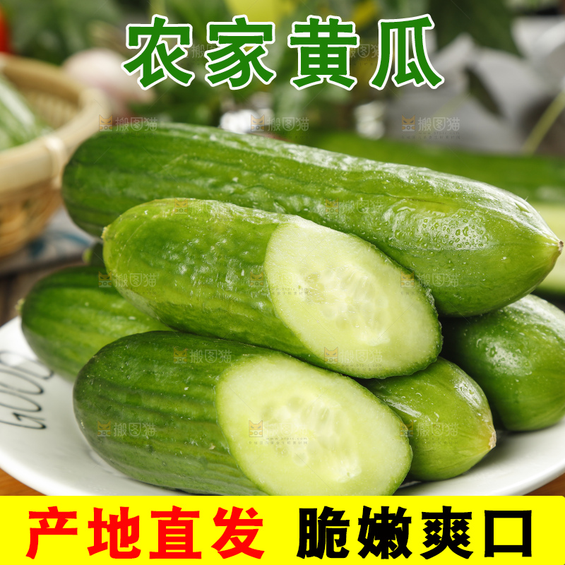 木底上放着一盘东北小青瓜