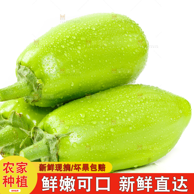白底上放着青茄子