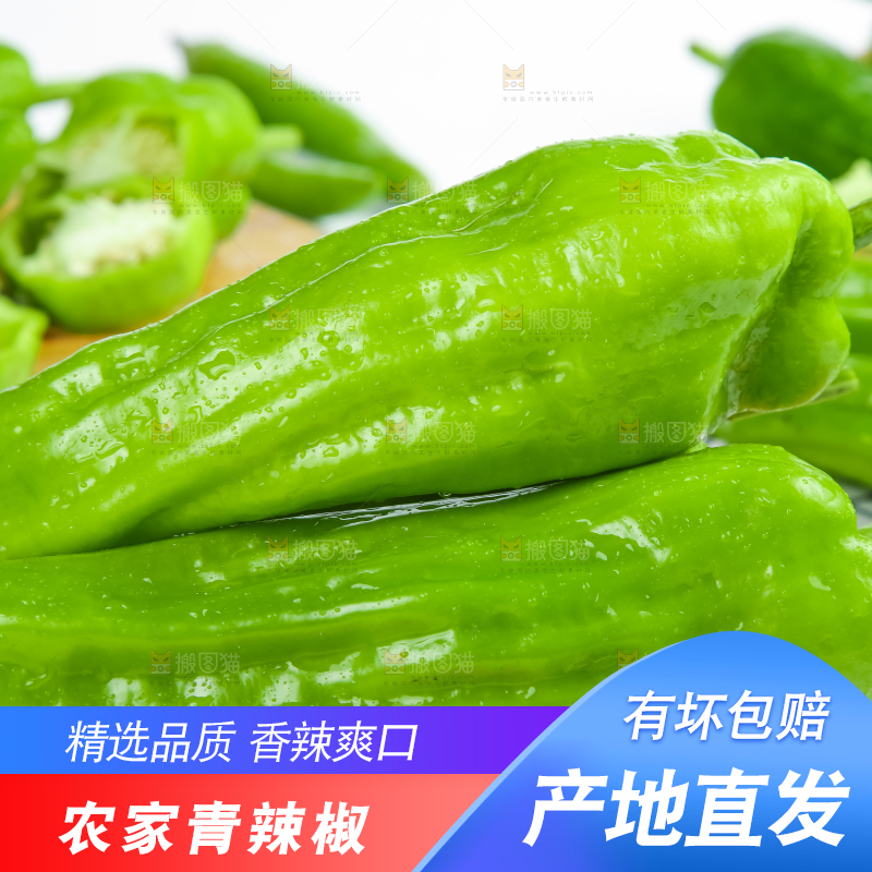 格子底上放着青辣椒