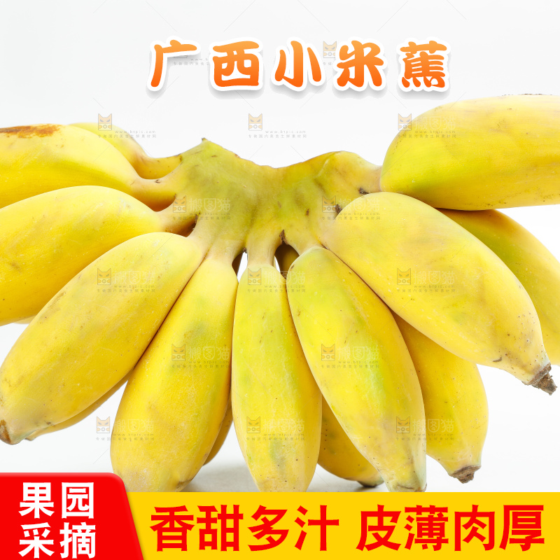 白底里放着广西苹果蕉
