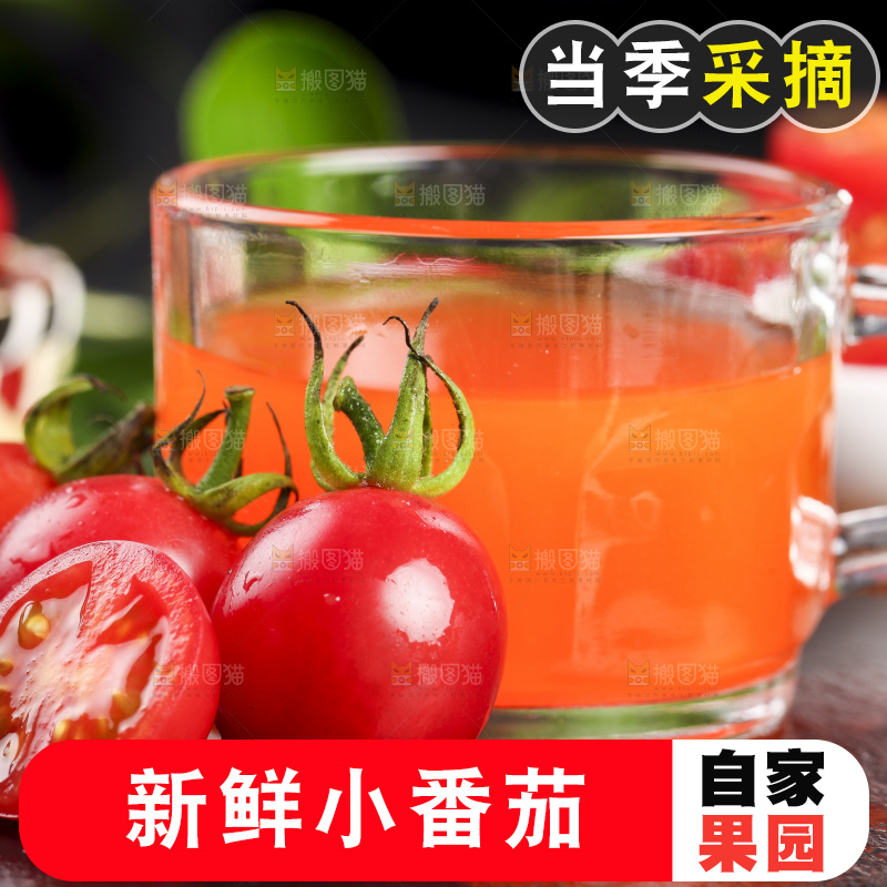 深底上的新鲜高山圣女果