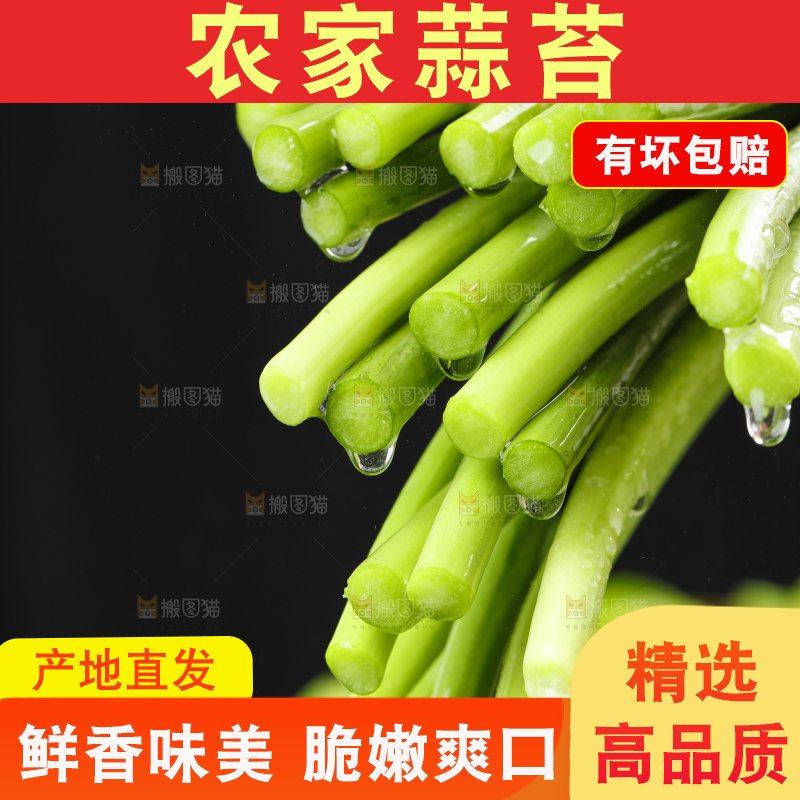 手里拿着一把嫩蒜苔