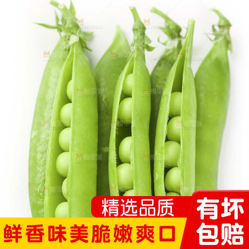 白底上的豌豆荚
