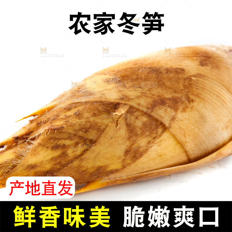白底上摆放着冬笋