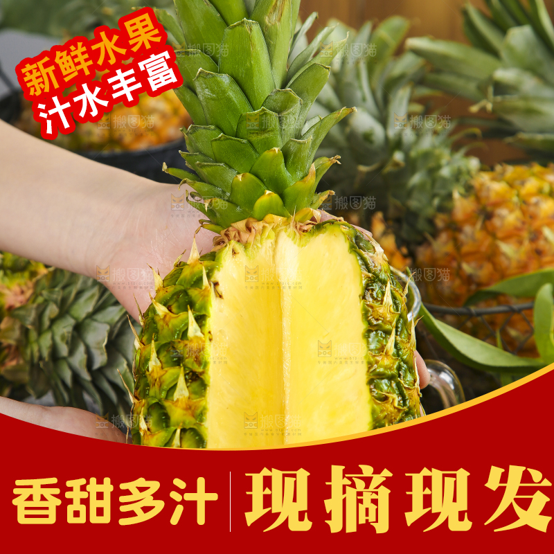 手捧着海南金钻凤梨
