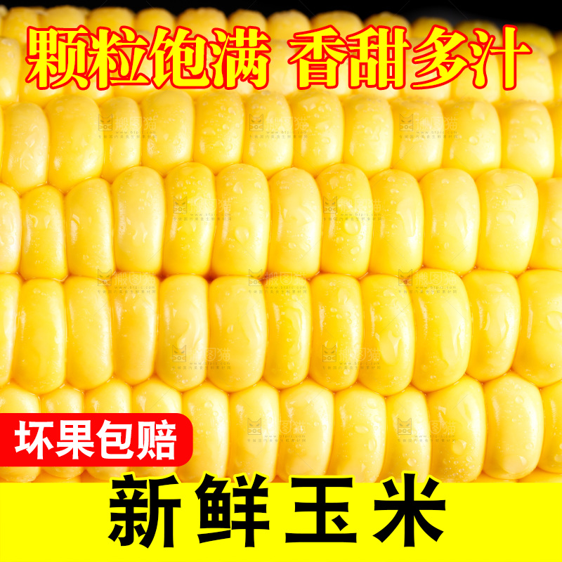 黑底上的玉米棒