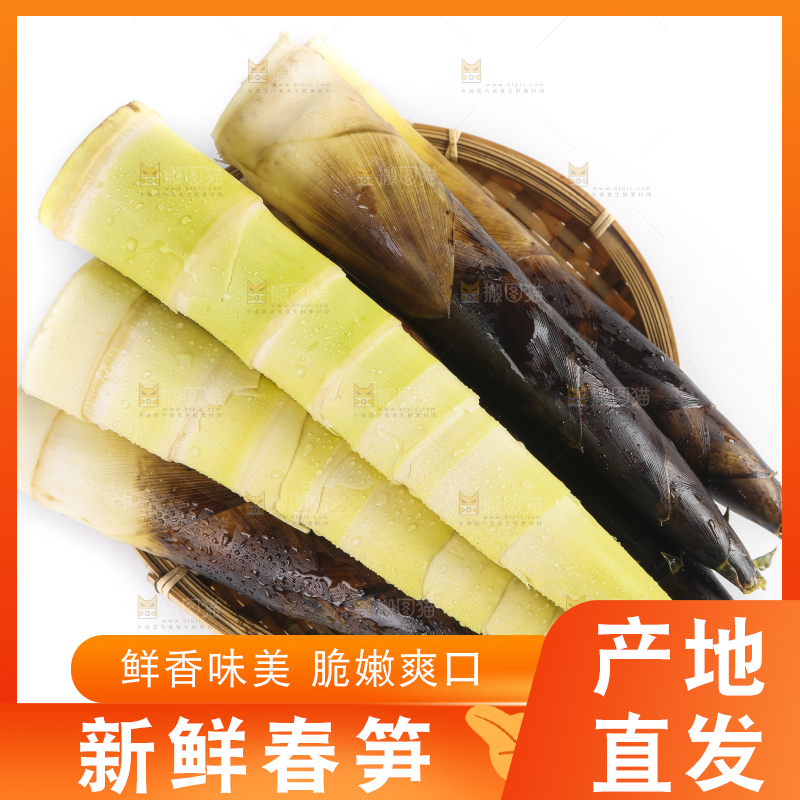 白底上放着新鲜的富阳春笋