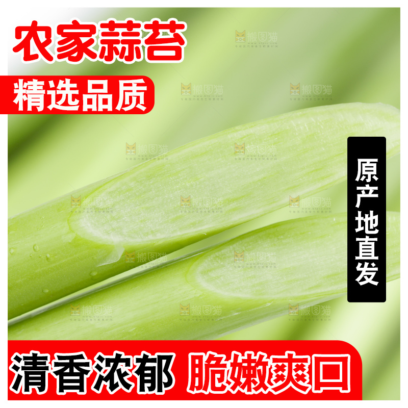 白底上放着蒜薹