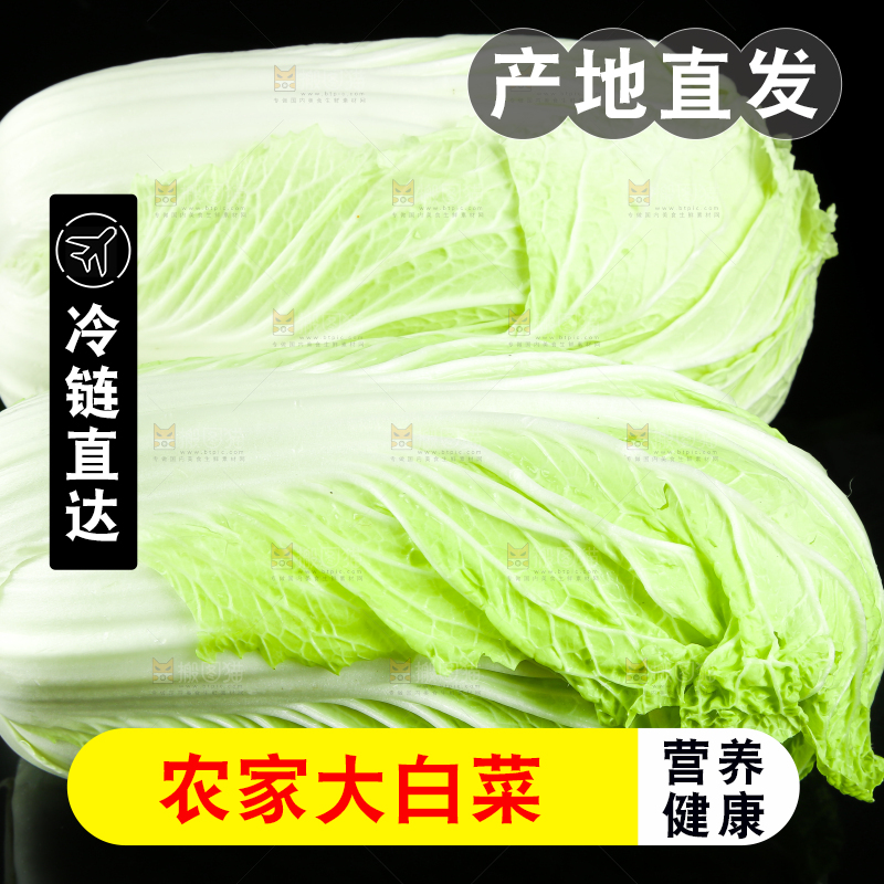 黑底上放着大白菜