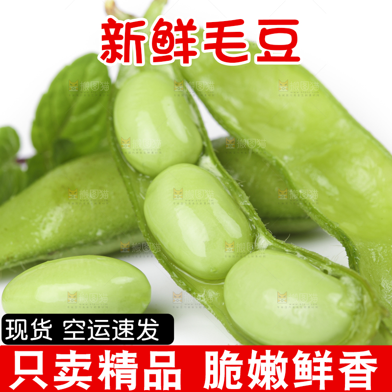 白底上放着四川新鲜毛豆