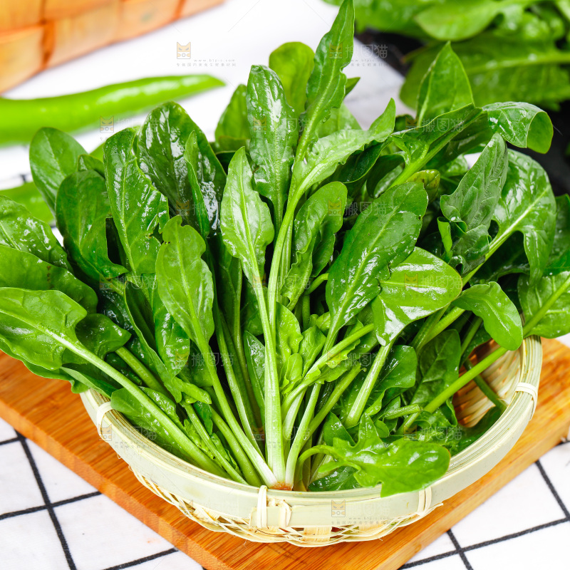 格子底上放着一堆绿色菠菜