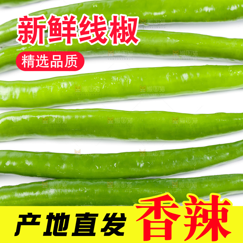 白底上放着线椒