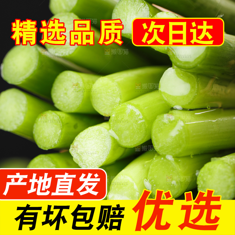 手里拿着一把嫩蒜苔