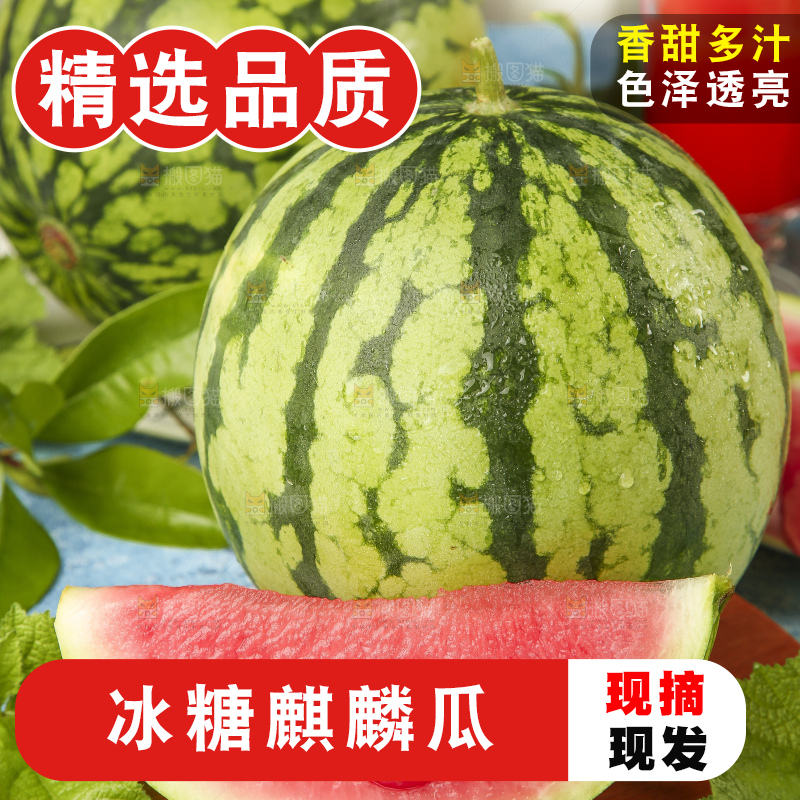 蓝底上放着新鲜麒麟西瓜