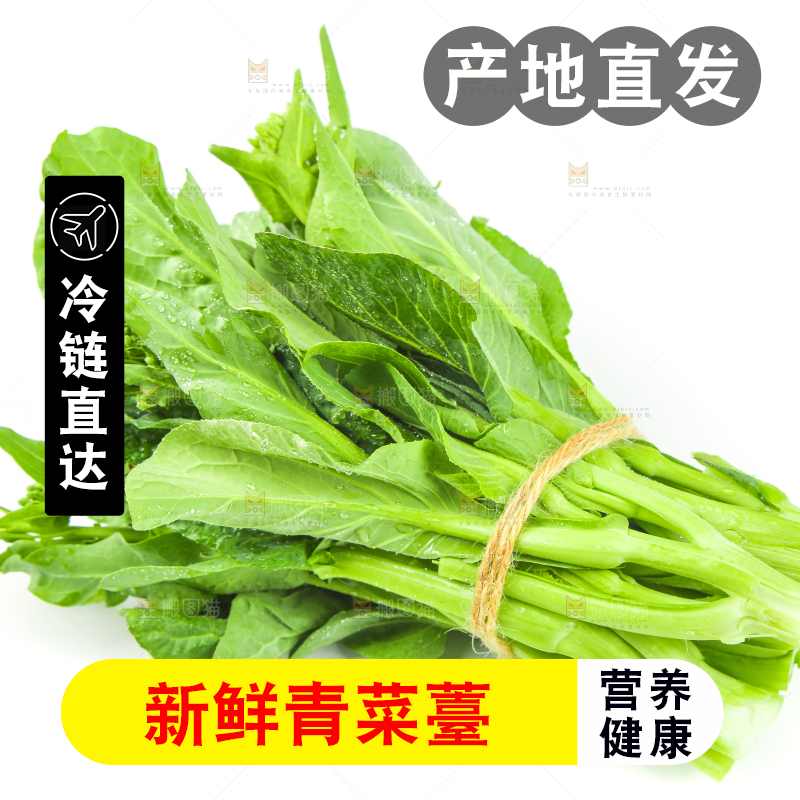 白底上的一把新鲜菜心