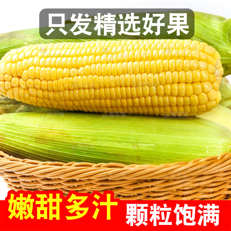 篮子里装着玉米
