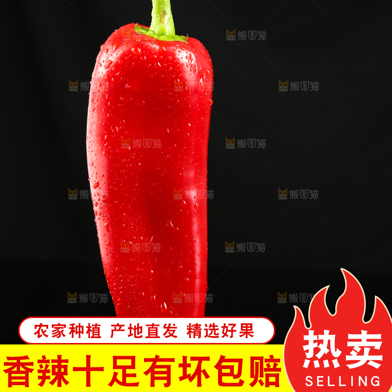 黑底上放着红菜椒