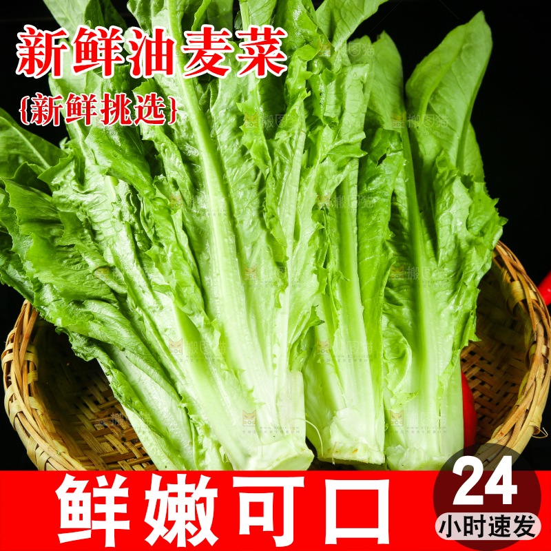篮子里装着油麦菜