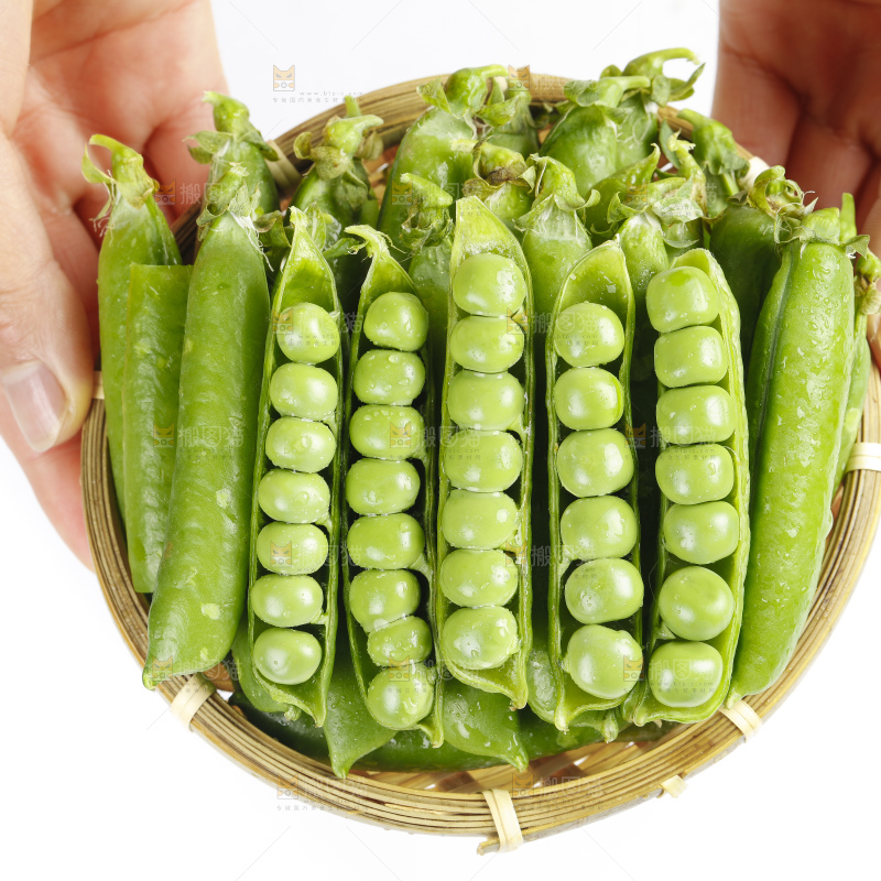 篮子里的新鲜豌豆