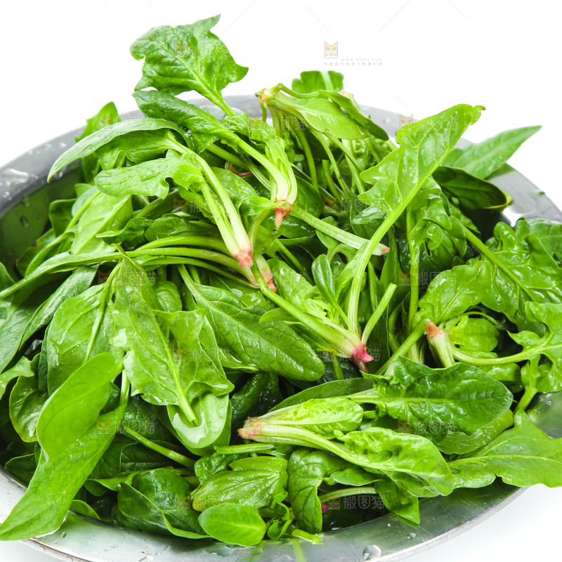 白底上放着新鲜菠菜