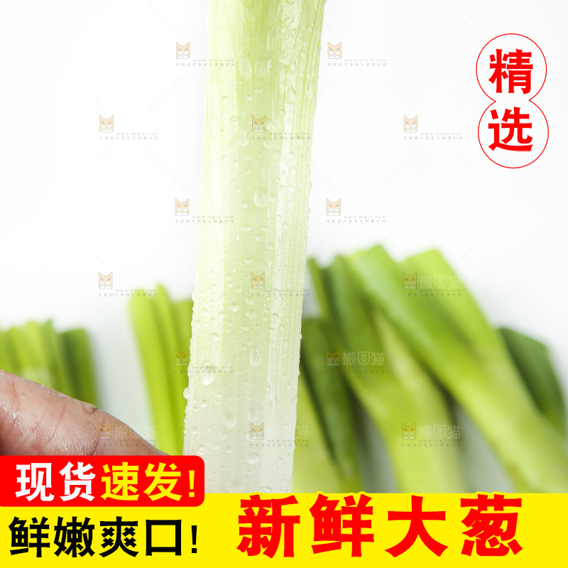 白底上放着大葱