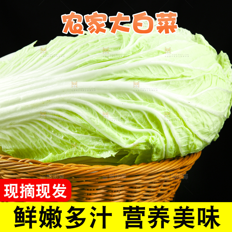 黑底上放着大白菜