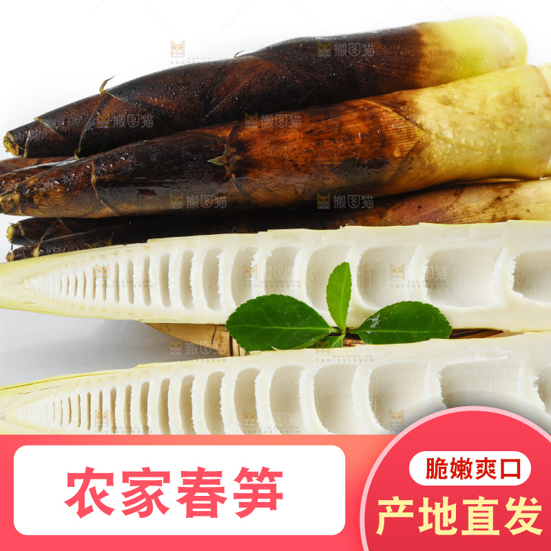 白底上放着一筐天幕山春笋