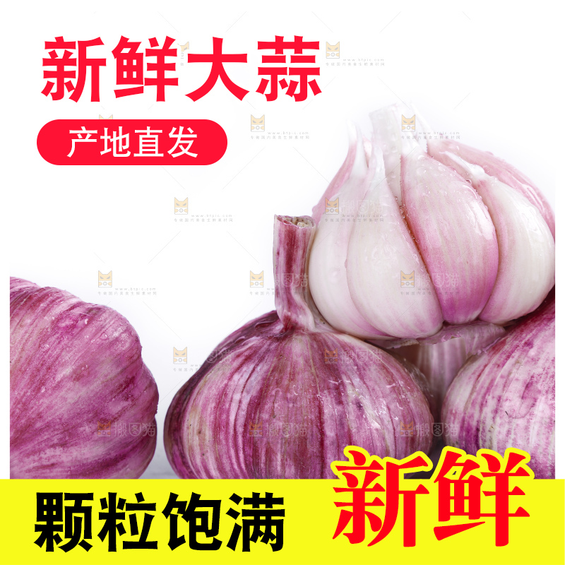 白底上放着新鲜的云南紫皮大蒜