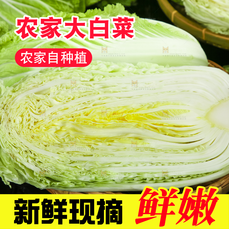 黑底上放着大白菜