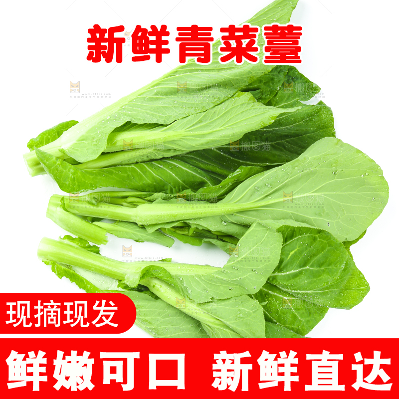 白底上放着青菜薹