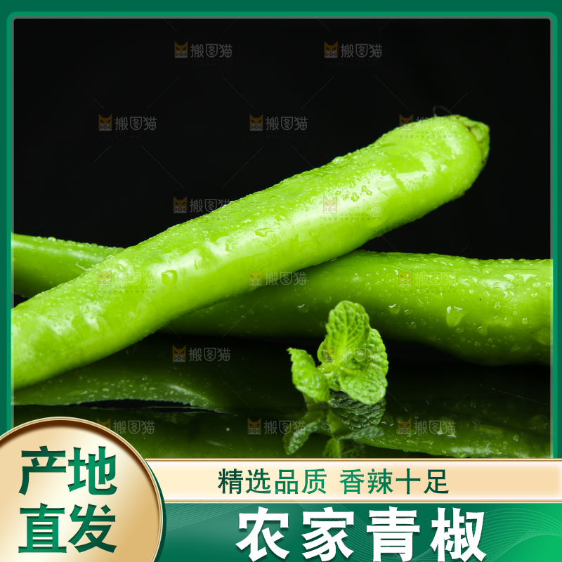 黑底上放着青尖椒