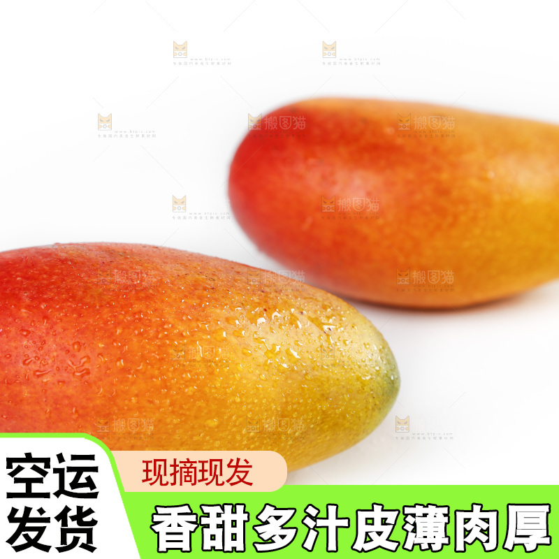 白底上放着新鲜的彩芒