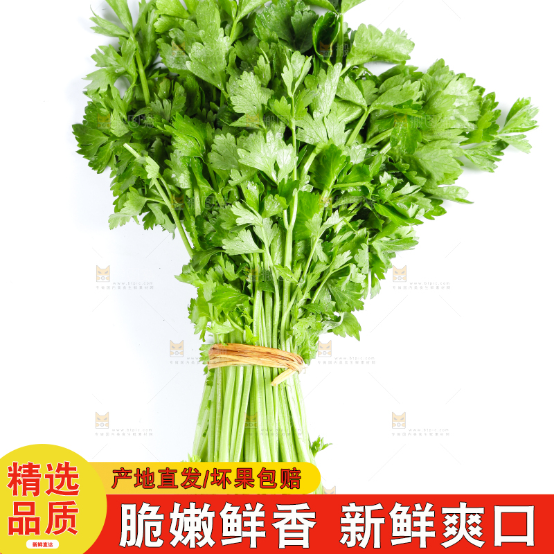 白底上的芹菜