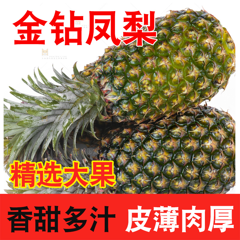 白底上的新鲜凤梨