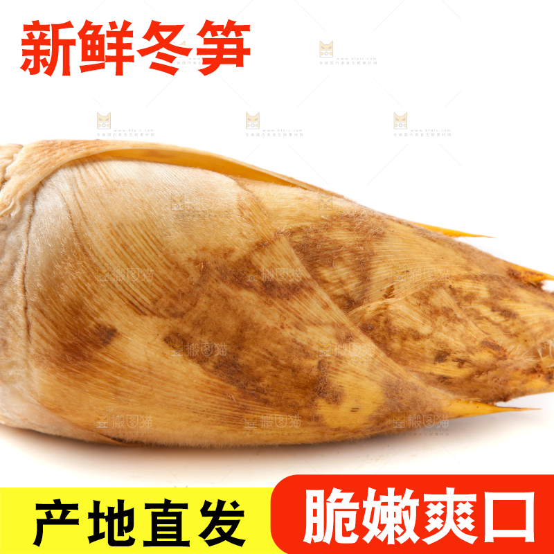 白底上摆放着冬笋