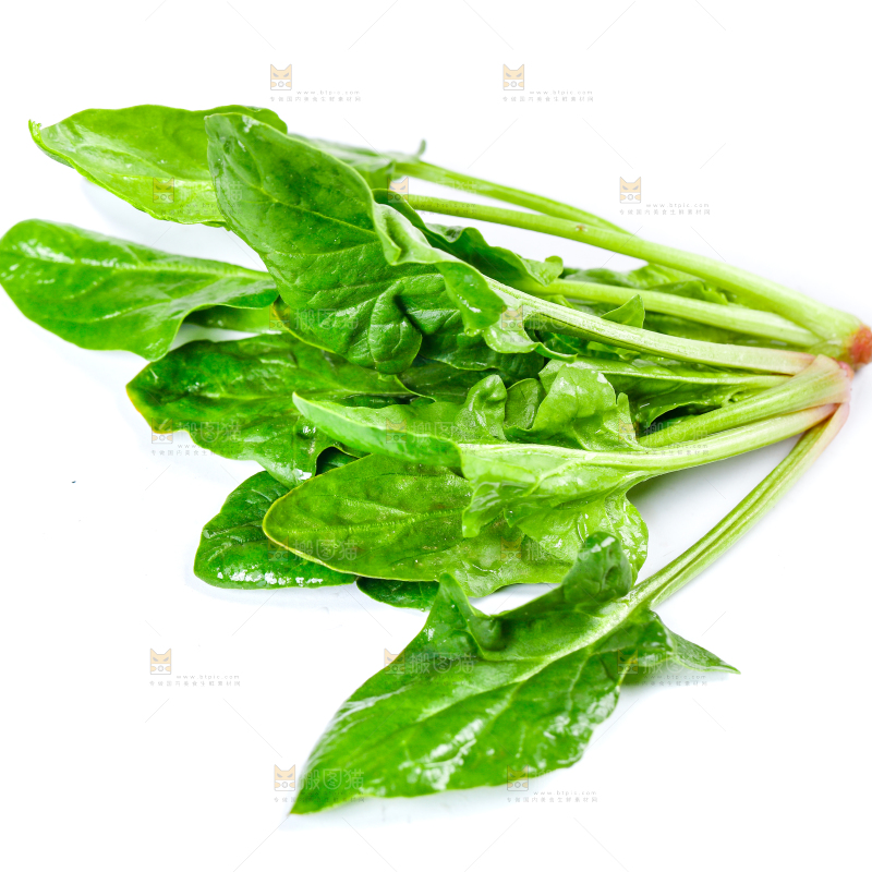 白底上放着新鲜菠菜