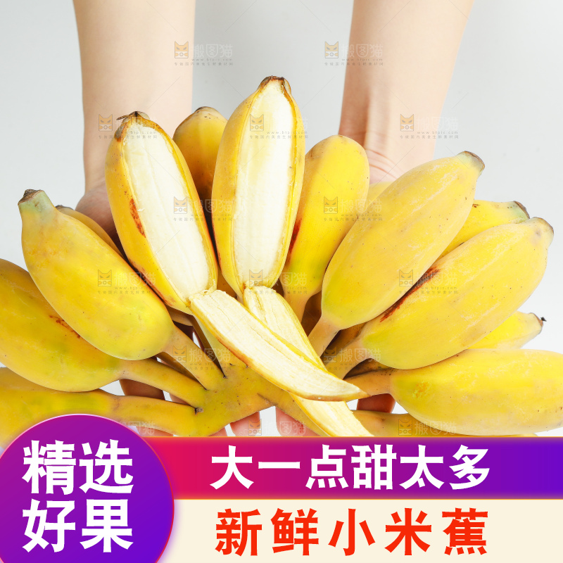 手拿着一串广西苹果蕉