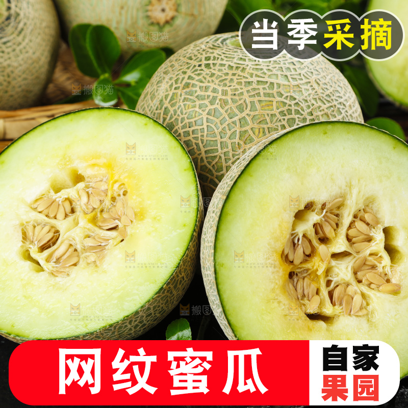 深底上放着切开的新鲜的网纹蜜瓜