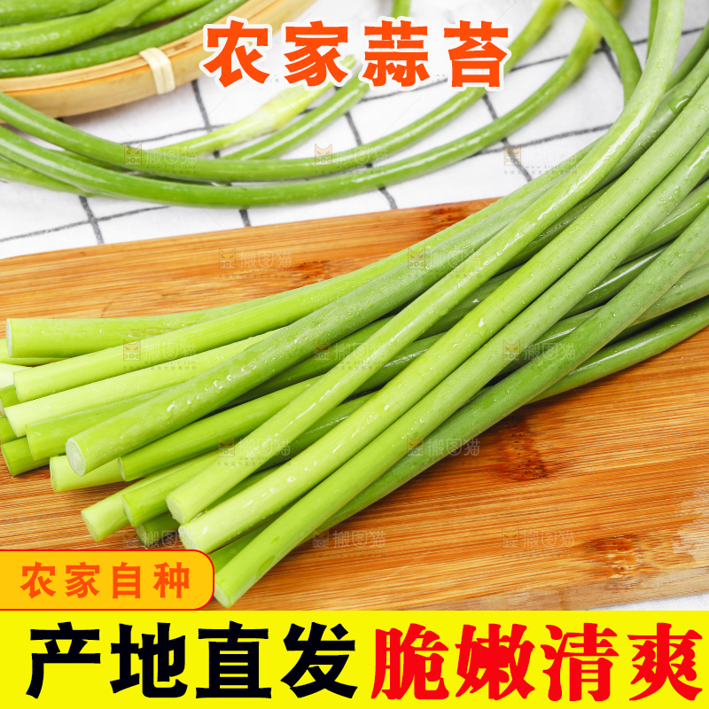 格子底上摆放着蒜豪