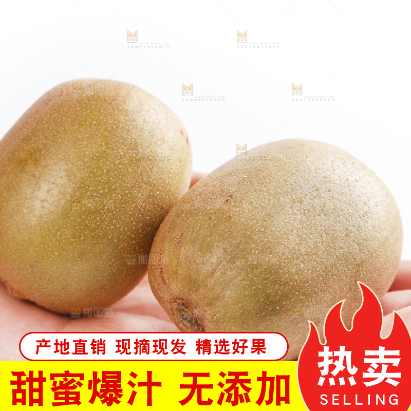 手里拿着四川红心猕猴桃