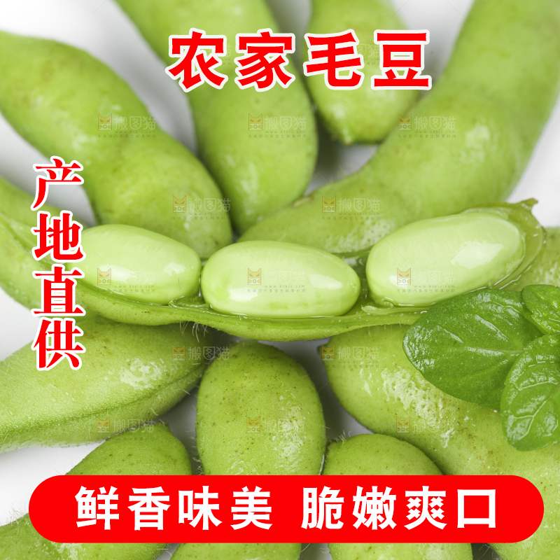 白底上放着四川新鲜毛豆