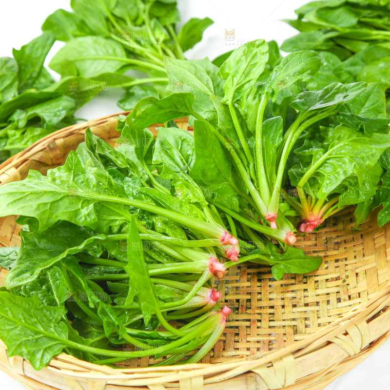 篮子里放着菠菜