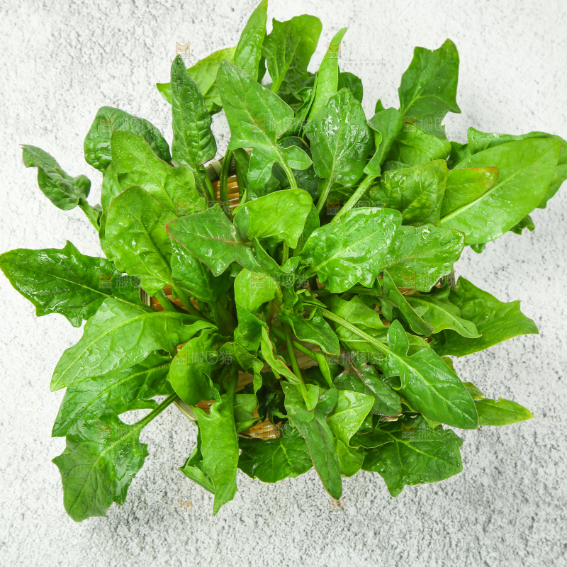 浅底上放着新鲜菠菜