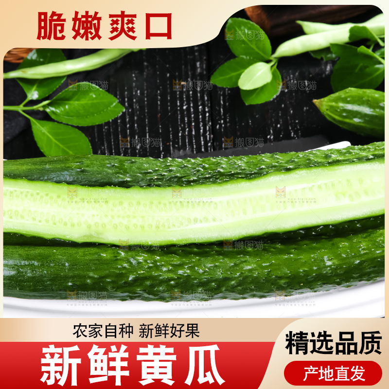 一盘新鲜土黄瓜放在黑底上