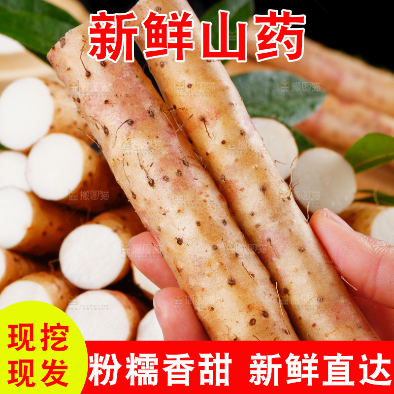 手里拿着新鲜山药