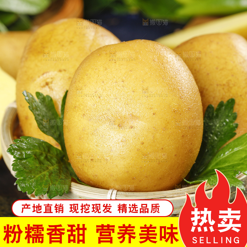 篮子里放着土豆