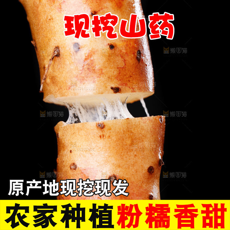 手里拿着小白嘴山药