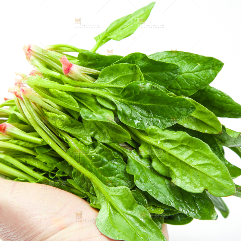 手里拿着一把菠菜